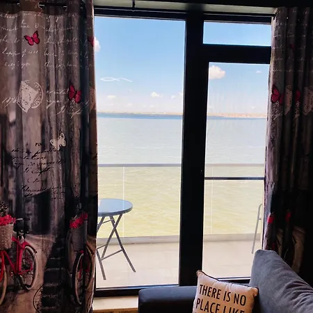 Solid Mamaia